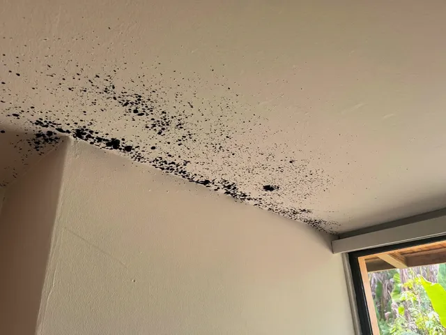 Black mold spots on a villa ceiling corner